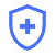 Healthcare Icon