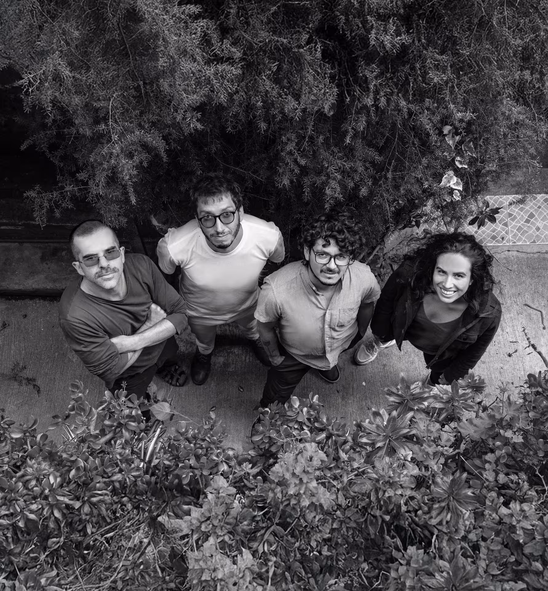 Al Borde.
Cuatro personas de pie, mirando hacia arriba entre plantas en un sendero al aire libre, en una foto en blanco y negro.