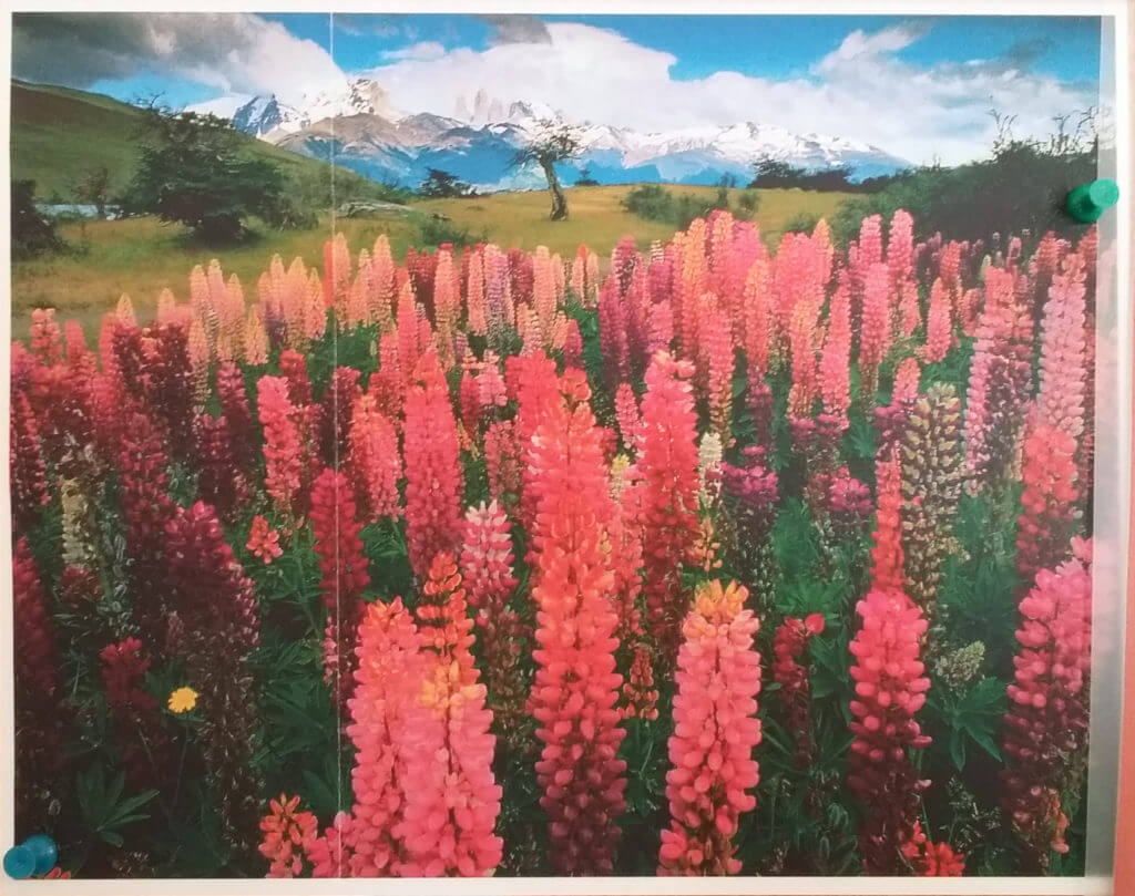 Feeling small……..