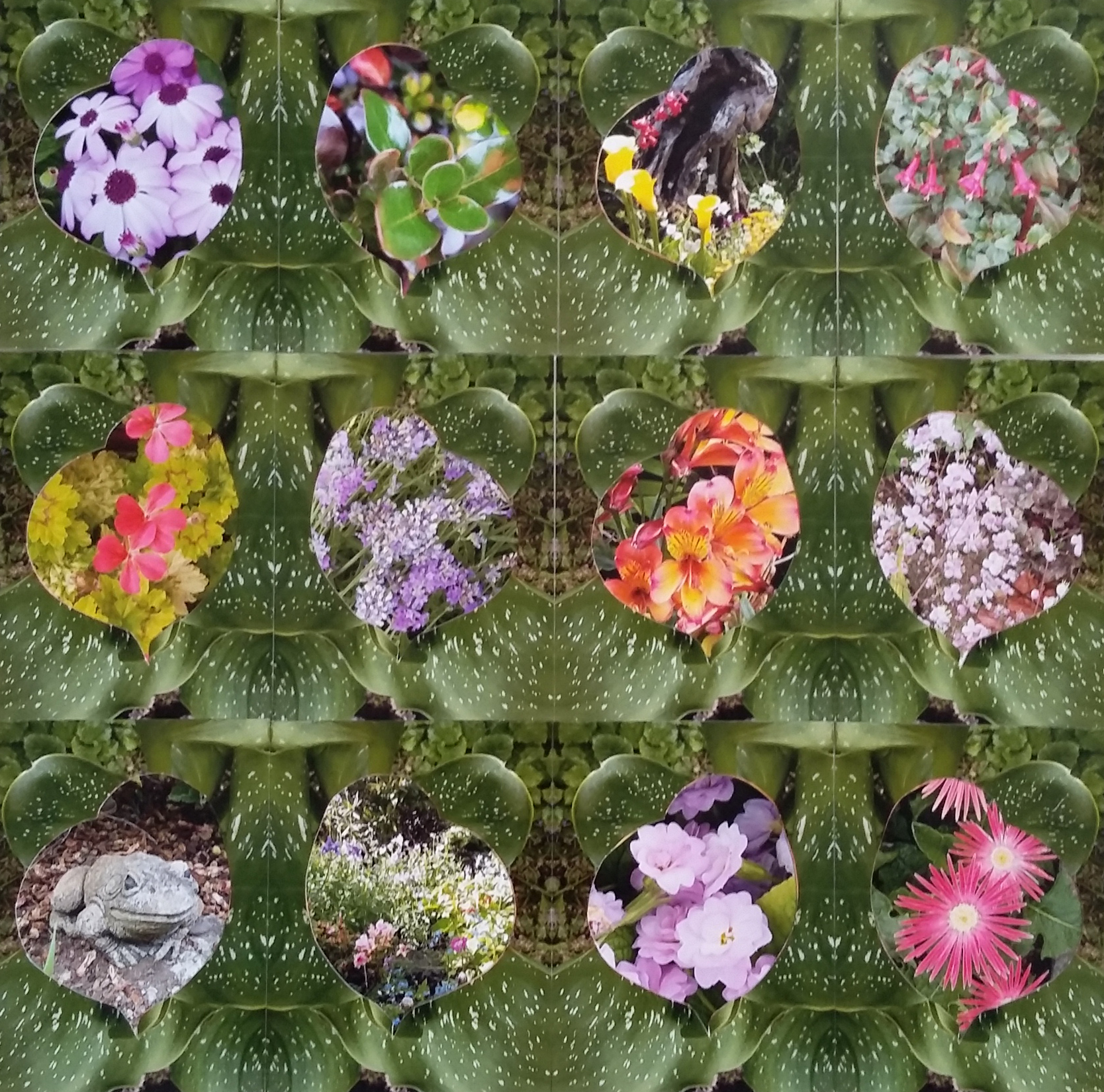 ‘Maggie’s garden’