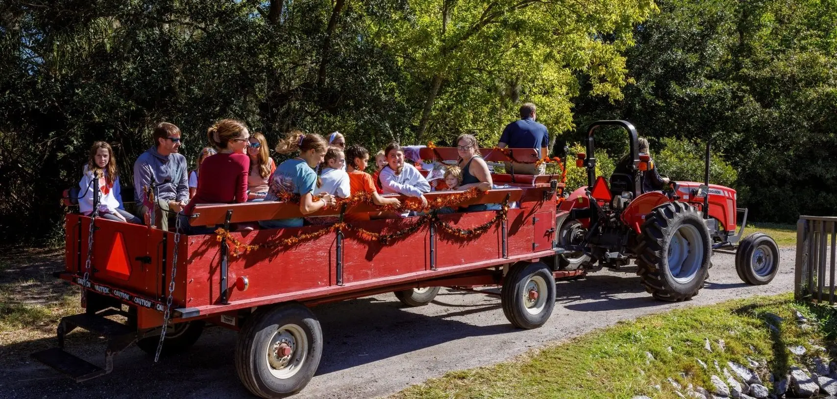 Wagon rides through Sea Pines Forest Preserve