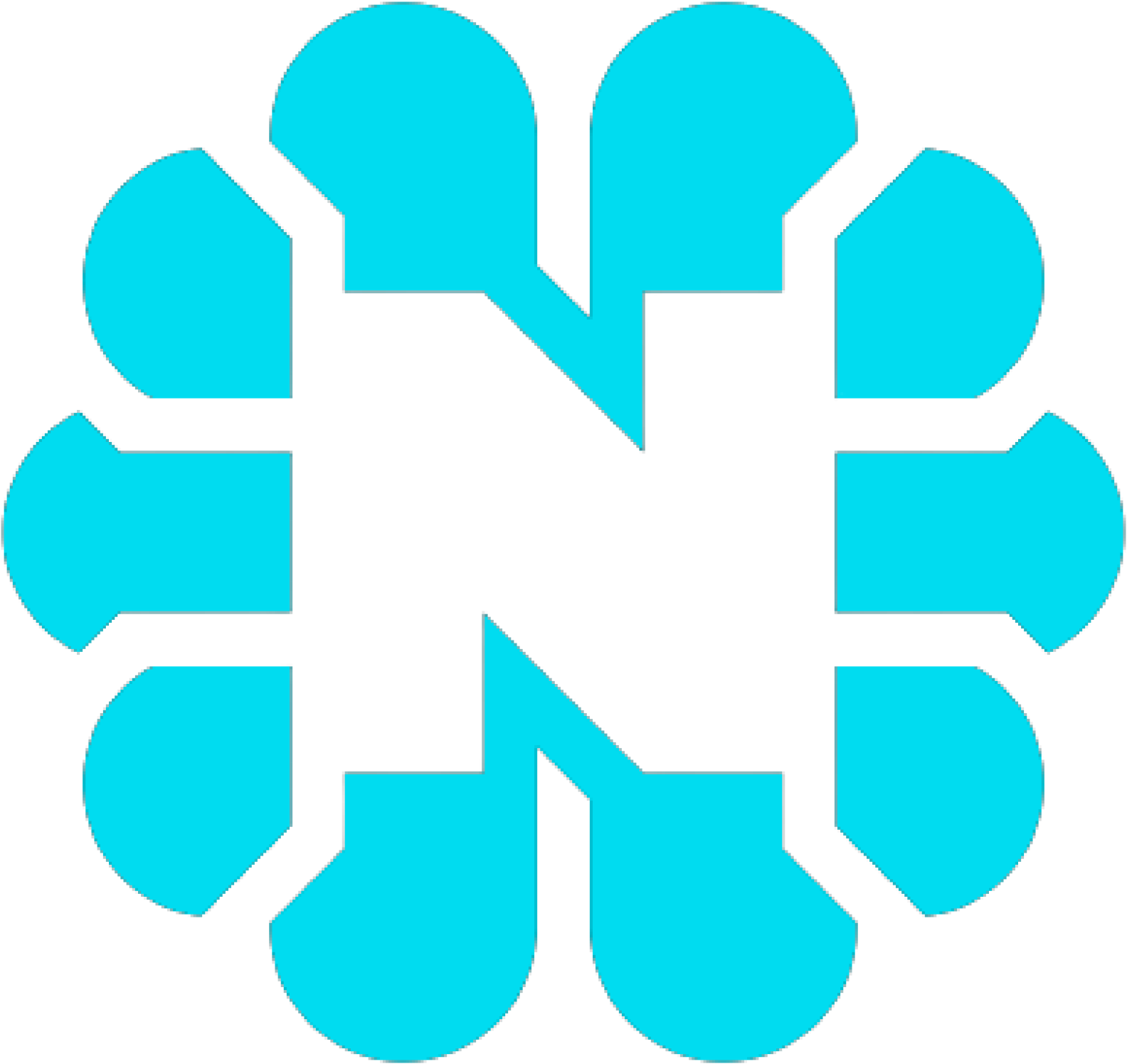 Nest Foundation's Logo