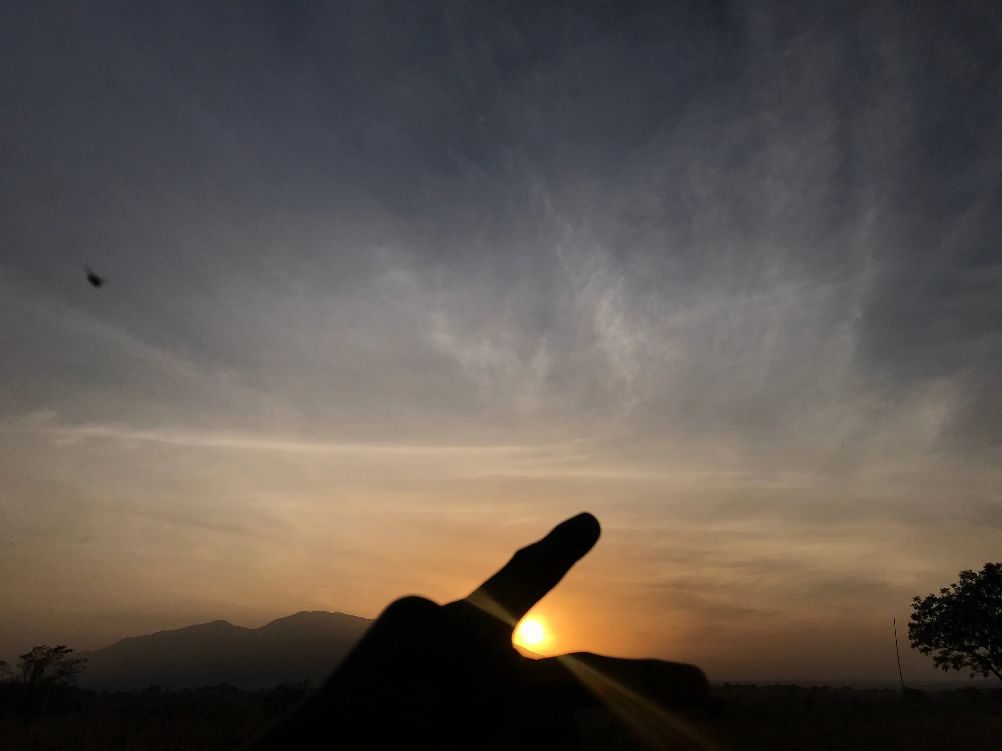 Hand facing the direction of sunrise