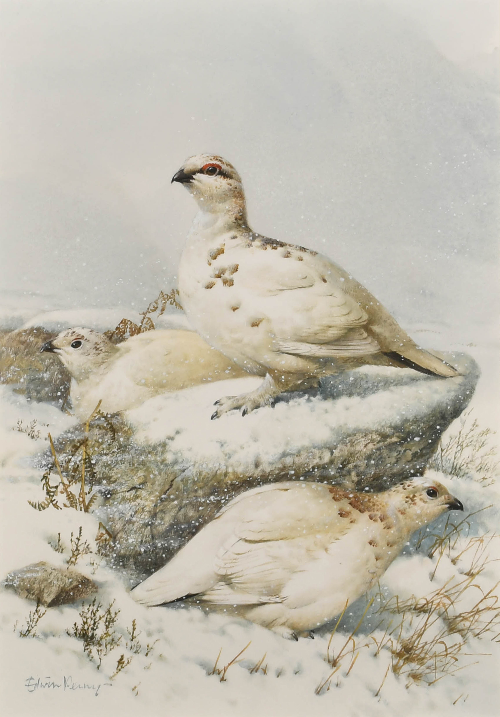 Edwin Penny: "Ptarmigan". Estimate: £800-£1200