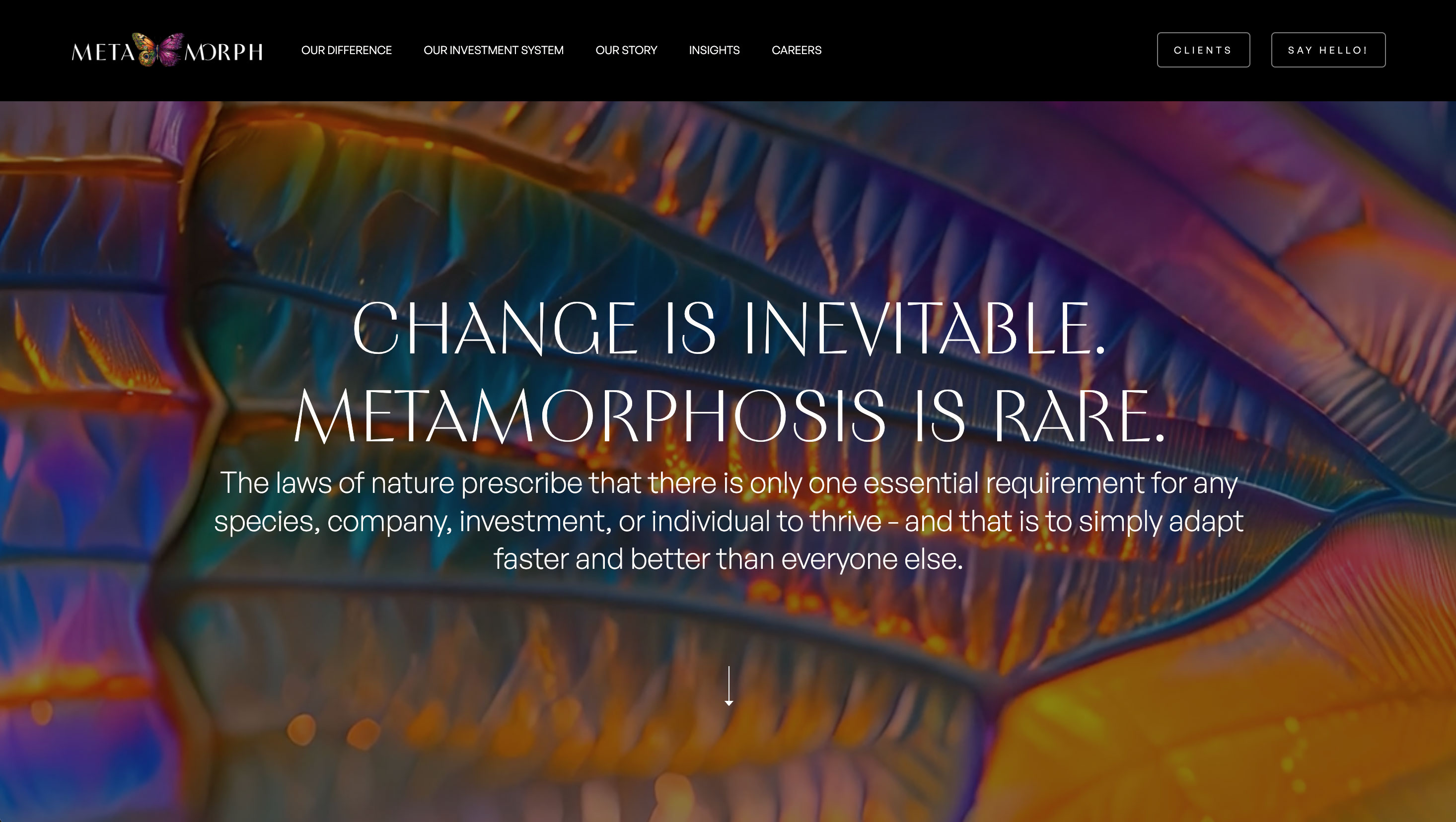 Menamorph MetaMORPH