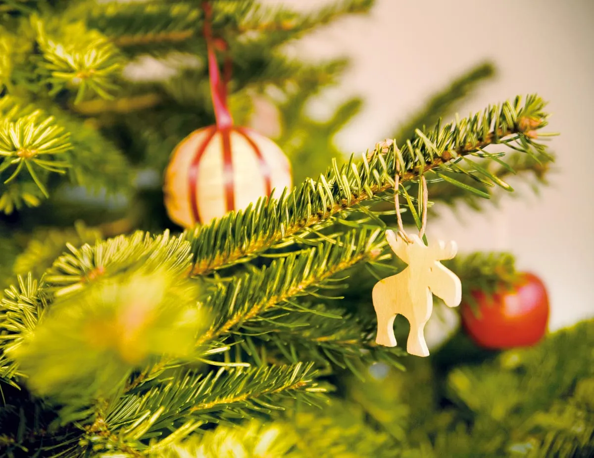 Nærbillede af et juletræ med pynt.