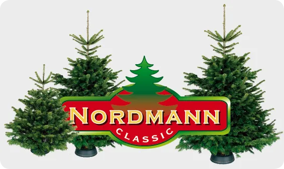 Nordmann logo og grantræer