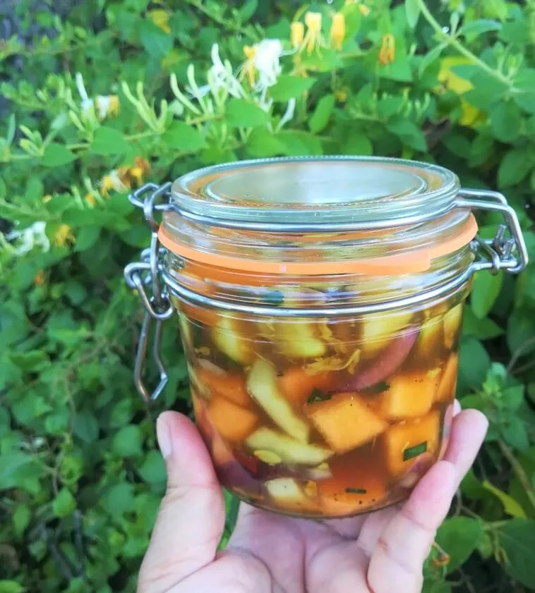 Kaktugi de melon et concombre