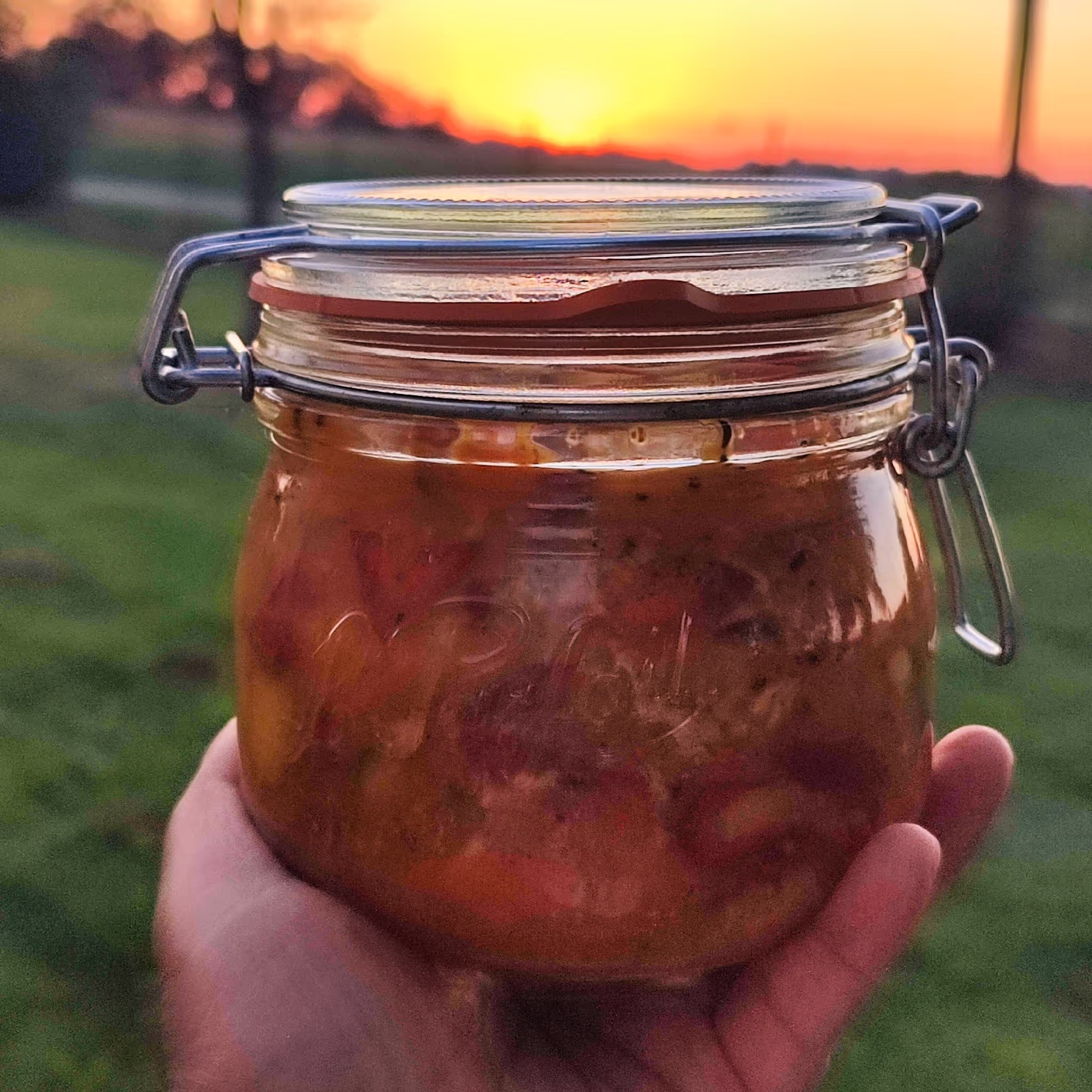 Achards lacto-fermentés de poivrons et coings