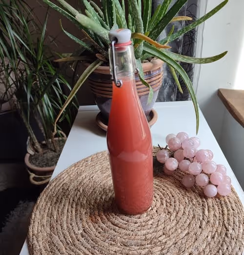 Jus de raisin frais lacto-fermenté