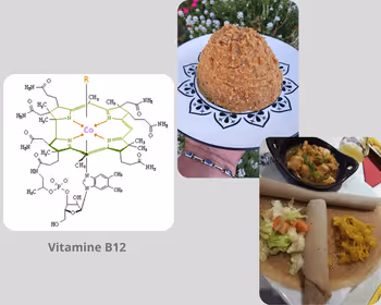 Vit B12 active dans certains aliments fermentés traditionnels à base de végétaux
