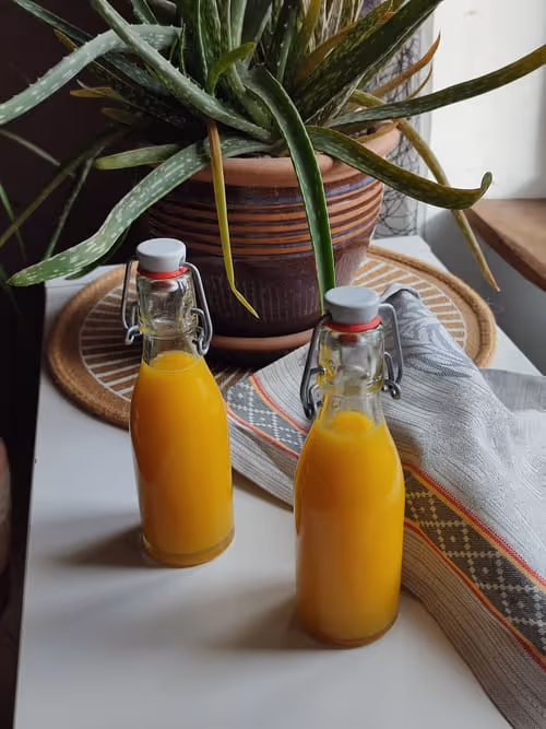 Pur Jus lacto-fermenté sans sucre ajouté d'oranges pressées