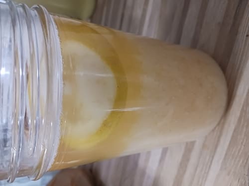 Début de signe d'activité des grains de kéfir de fruit