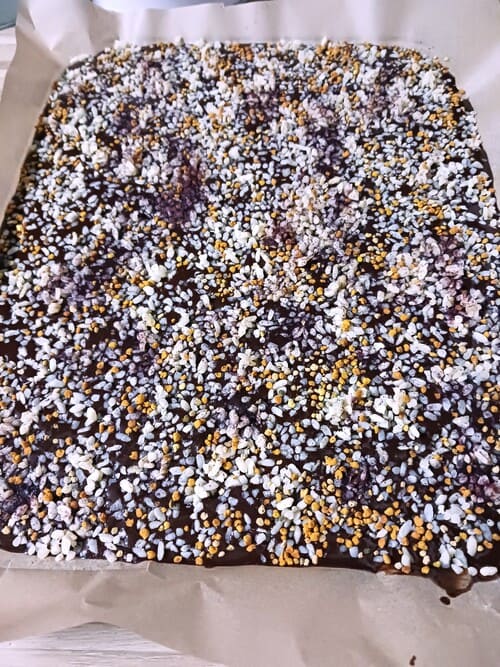 Plaque de chocolat cru au koji de riz, aux ollens crus d'abeilles noires des Pyrénées et à la poudre de Bissap