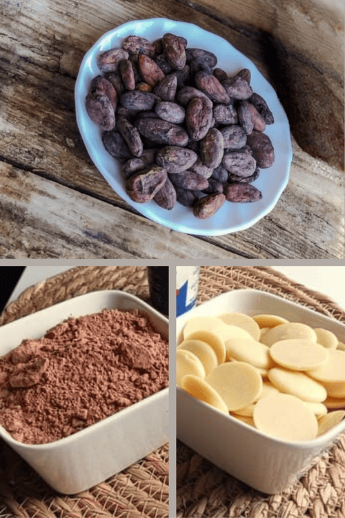 Fève crue de caco Criollo, sa poudre et son beurre