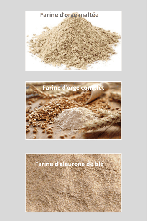 Farine d'orge maltée, farine d'orge complet et farne d'aleurone de blé