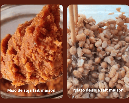 Miso de soja et natto de soja