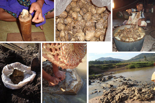 Principales étapes de production artisanale de soie sauvage de Madagascar