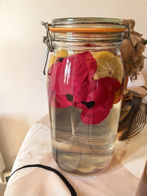 Pétllant de fleurs de grand coquelicot