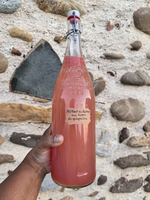 Pétillant de pastèque au levain de gingembre