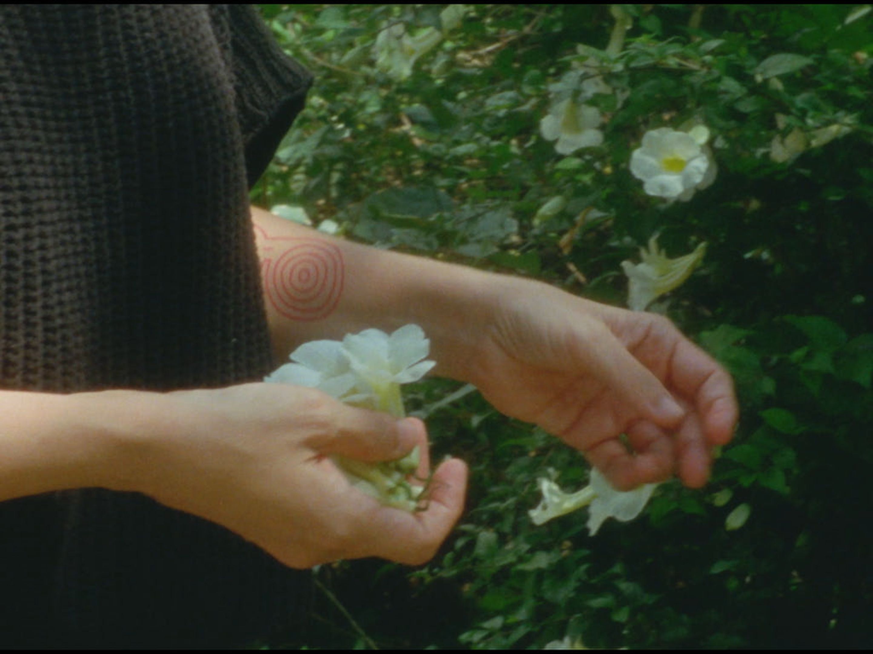 EL SIGNO VACÍO (the empty sign) film still 