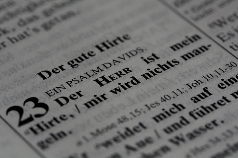 Bibeltext aus Psalm 23 mit der Überschrift ‚Der gute Hirte‘, die ersten zwei Verse zeigen Gottes Fürsorge und Trost – ein zentrales Beispiel für die Botschaft der Bibel.