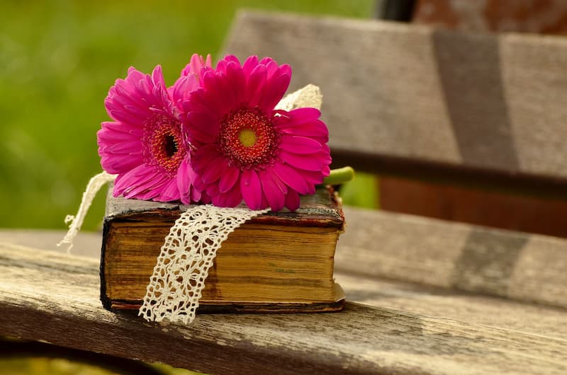 Alte aufgeschlagene Bibel liegt auf einer Holzbank, geschmückt mit zwei lilafarbenen Blumen und weißer Stickerei-Dekoration – Symbol für die Schönheit und Bedeutung der Bibel.