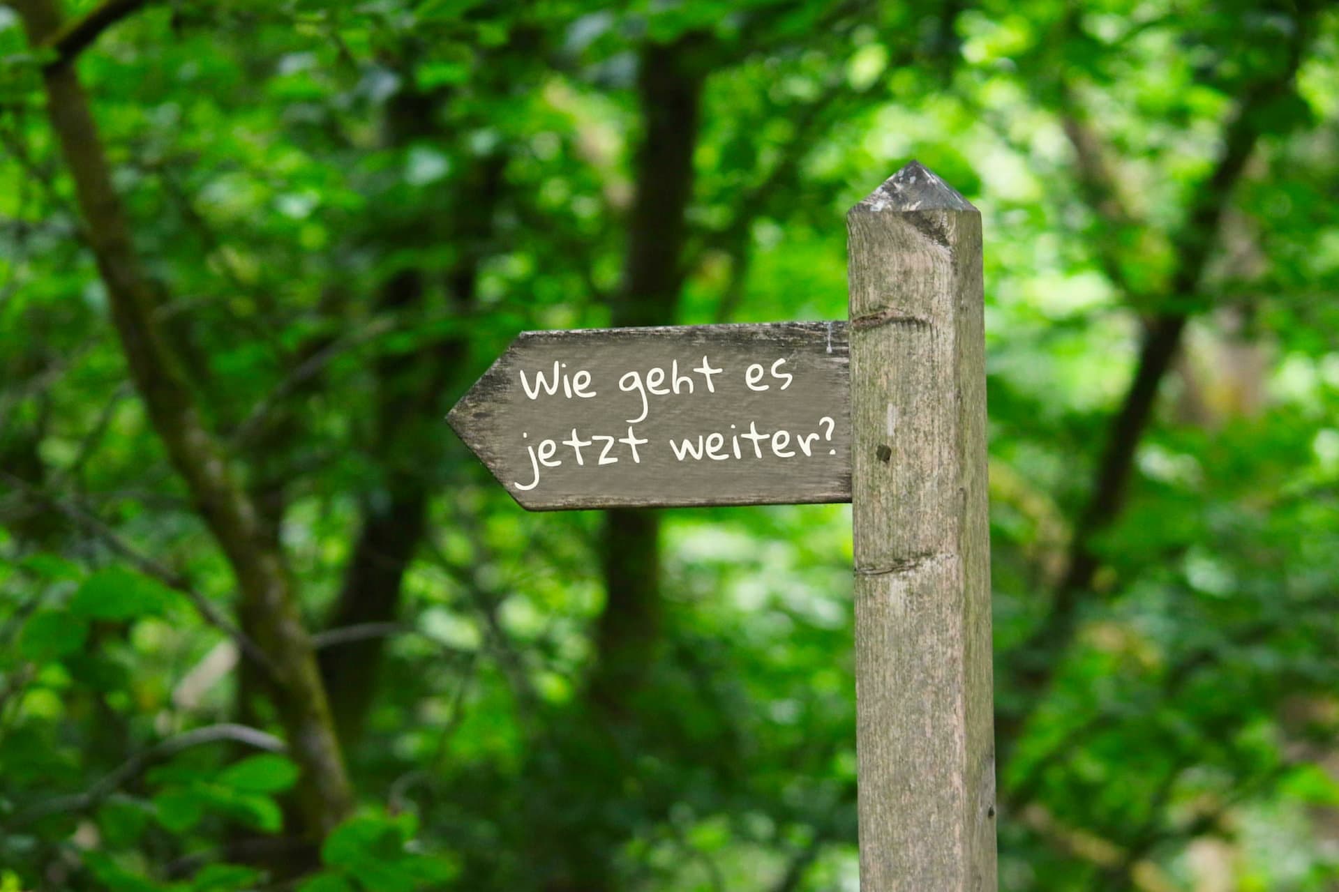 Leben nach der Entscheidung für Jesus: So geht es weiter