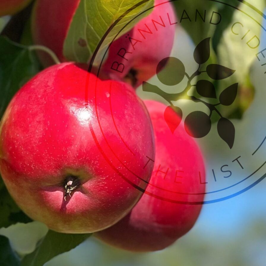 Red apples with the Brännland Iscider emblem over the image.