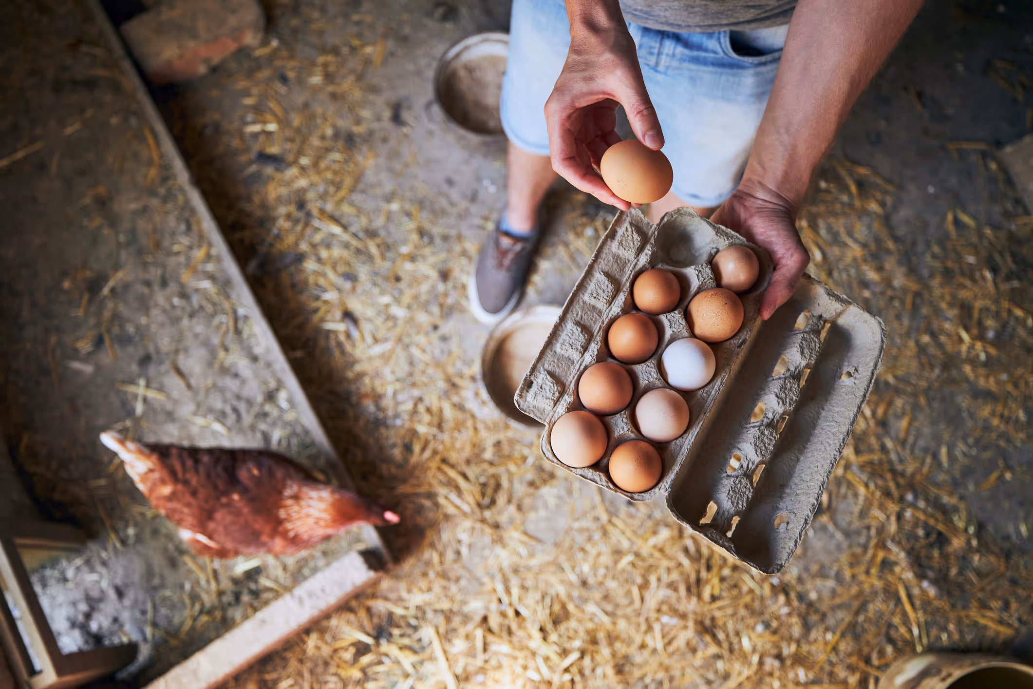 Counting your chickens before they hatch? Protecting innovation in the egg industry