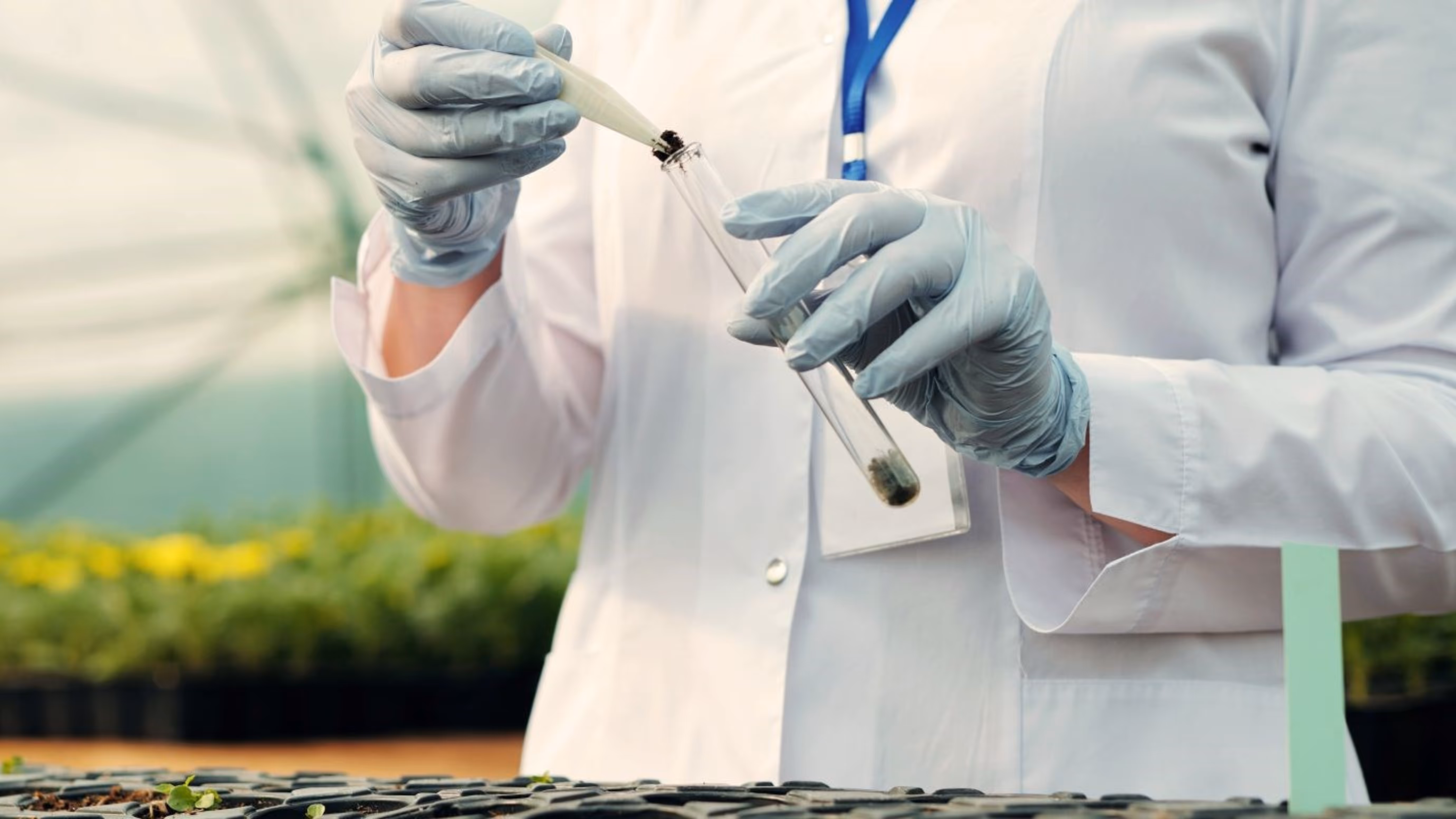 Can CRISPR and RNAi help us develop new and more sustainable fruits and vegetables?