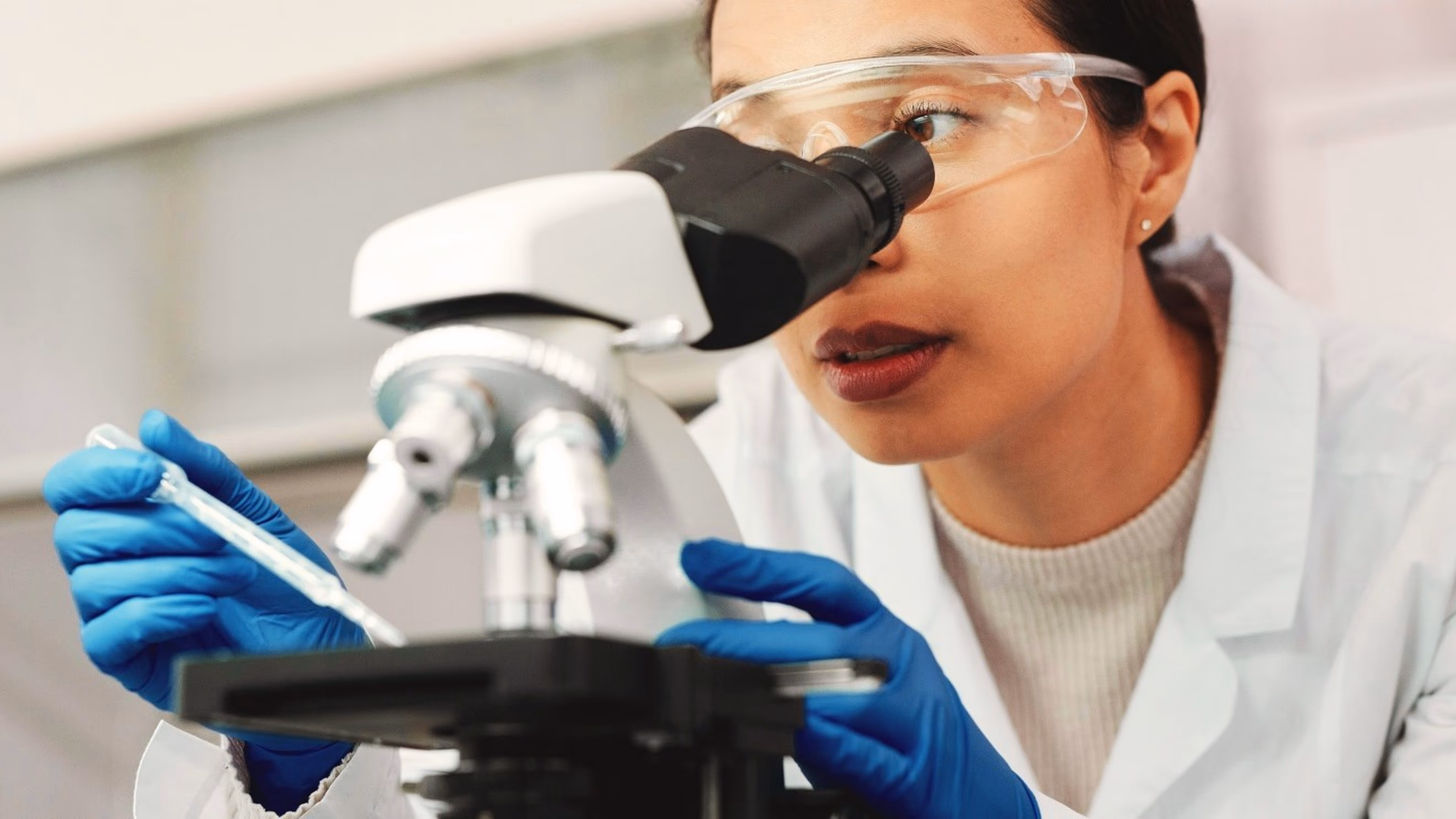 UK SPC law changes from 1 January 2025: what you need to know