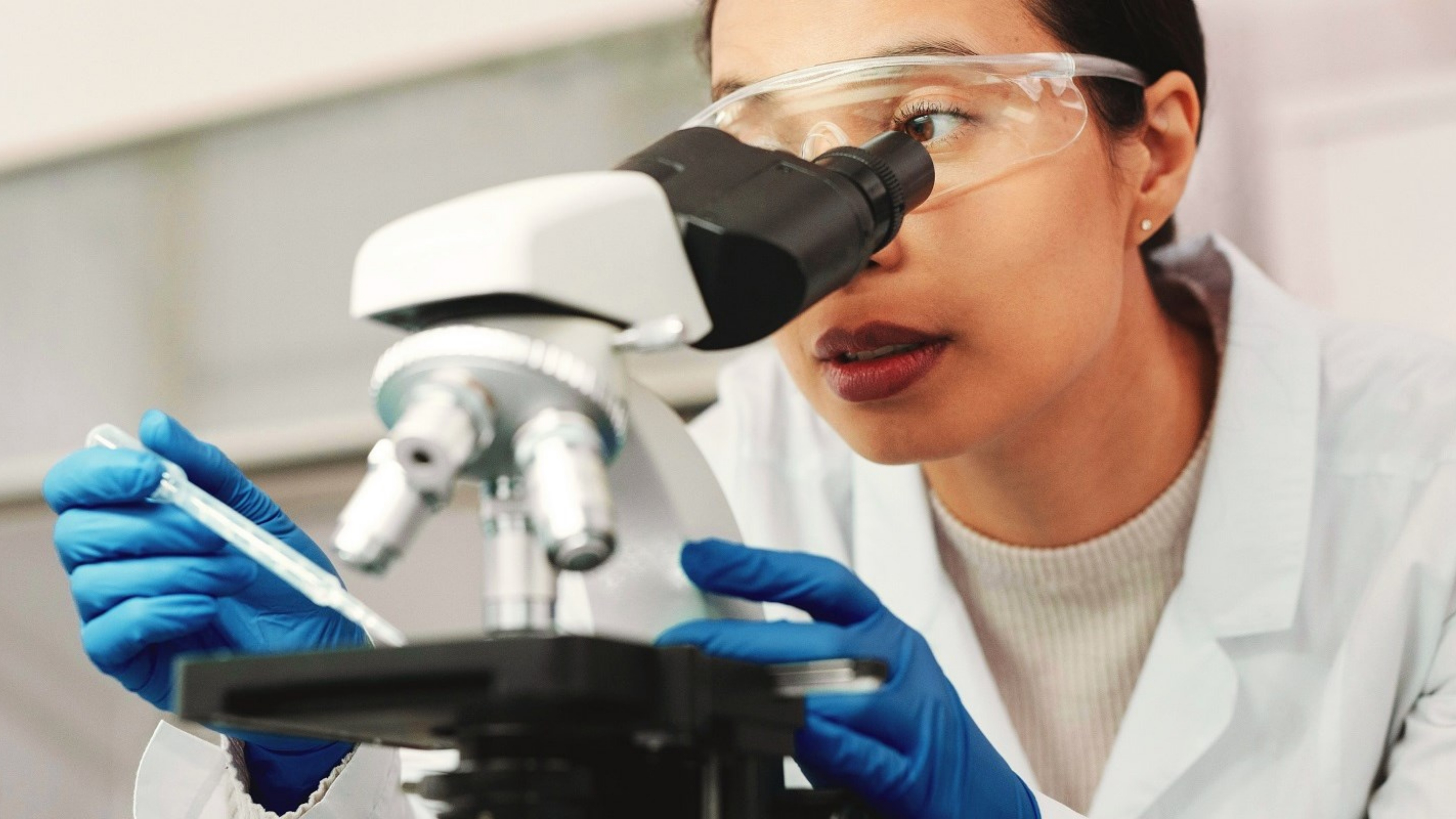 UK SPC law changes from 1 January 2025: what you need to know