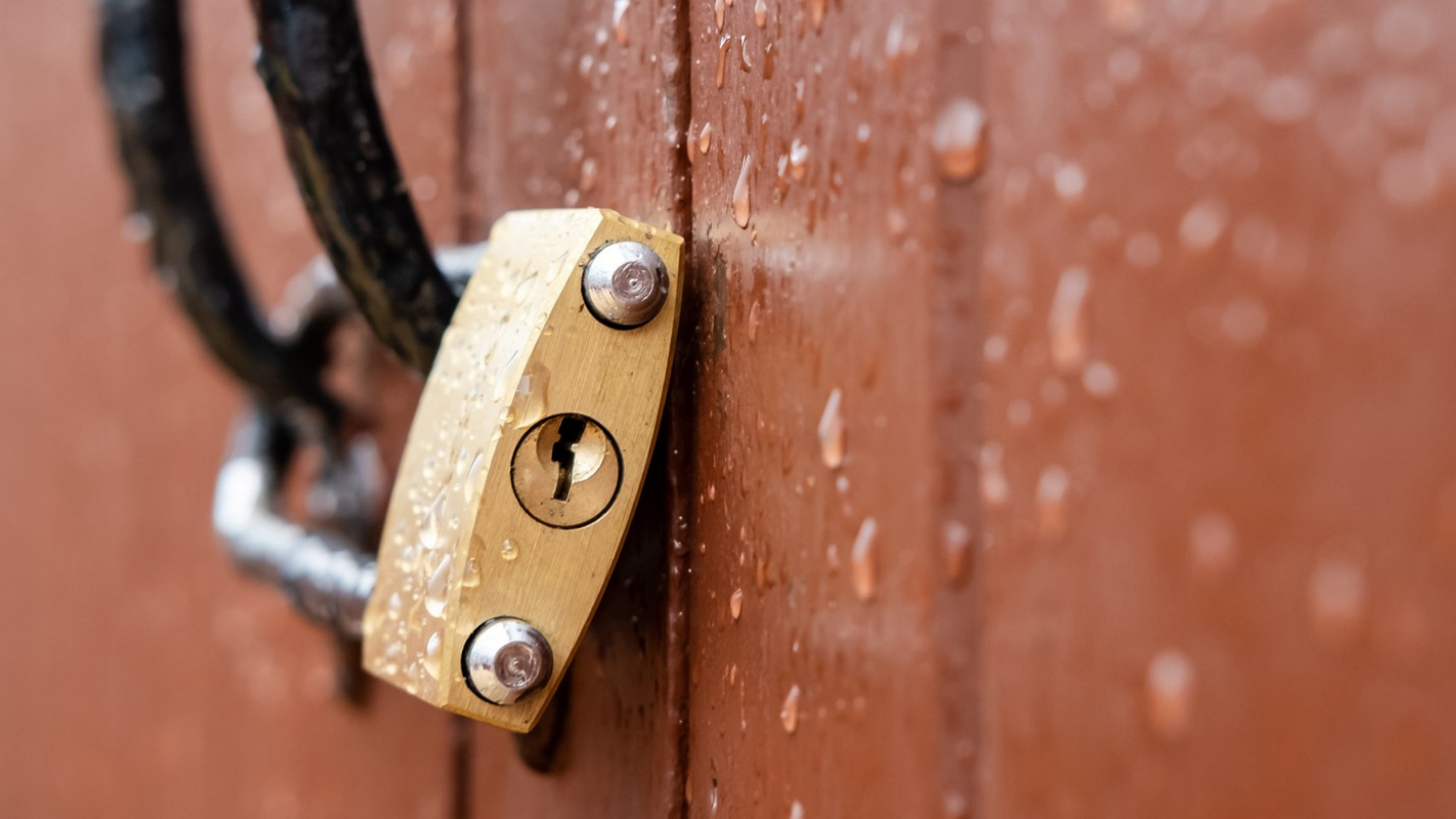 Creating value from IP rights in Asian markets