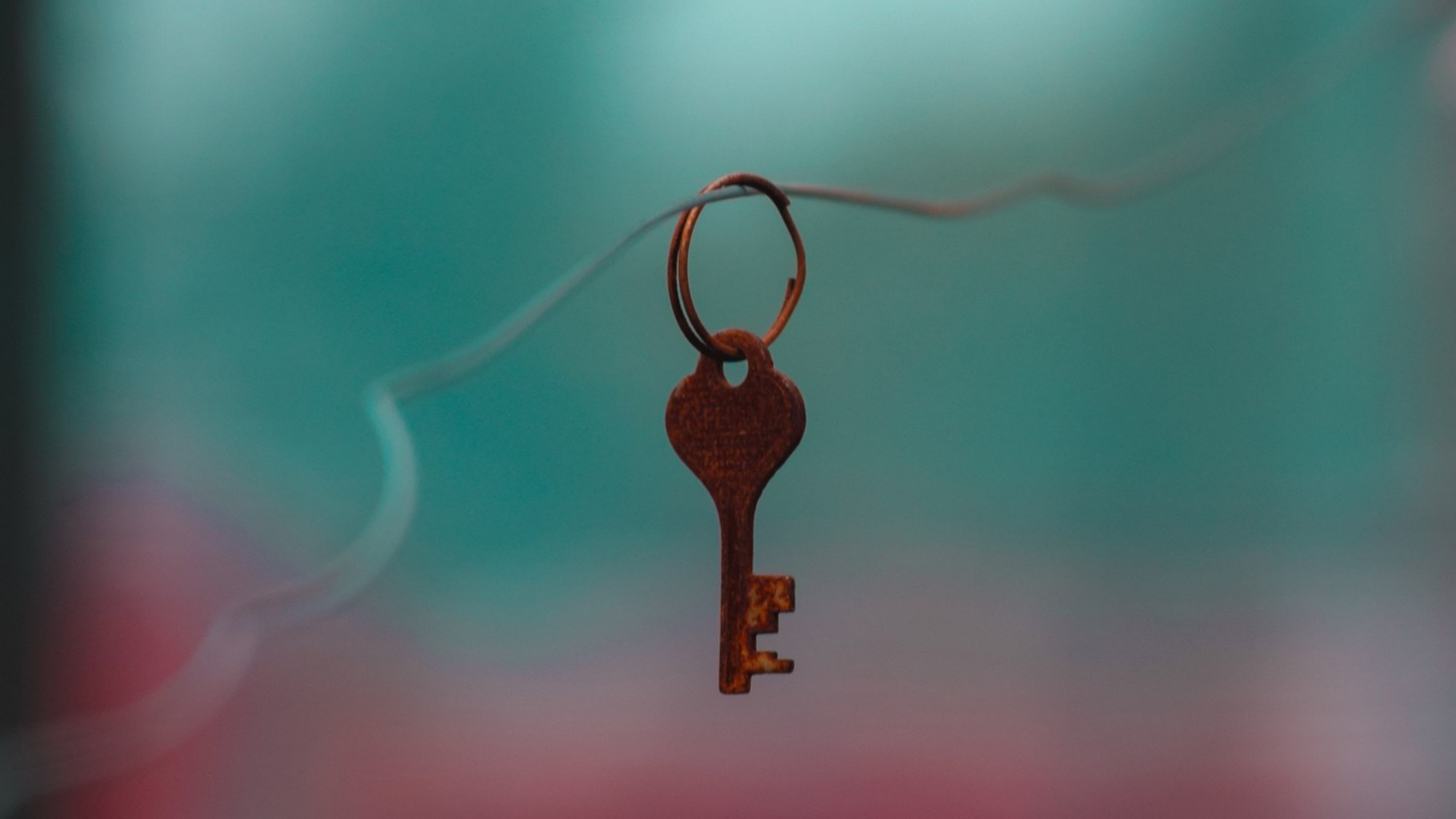 Clear ownership: determine who owns the IP