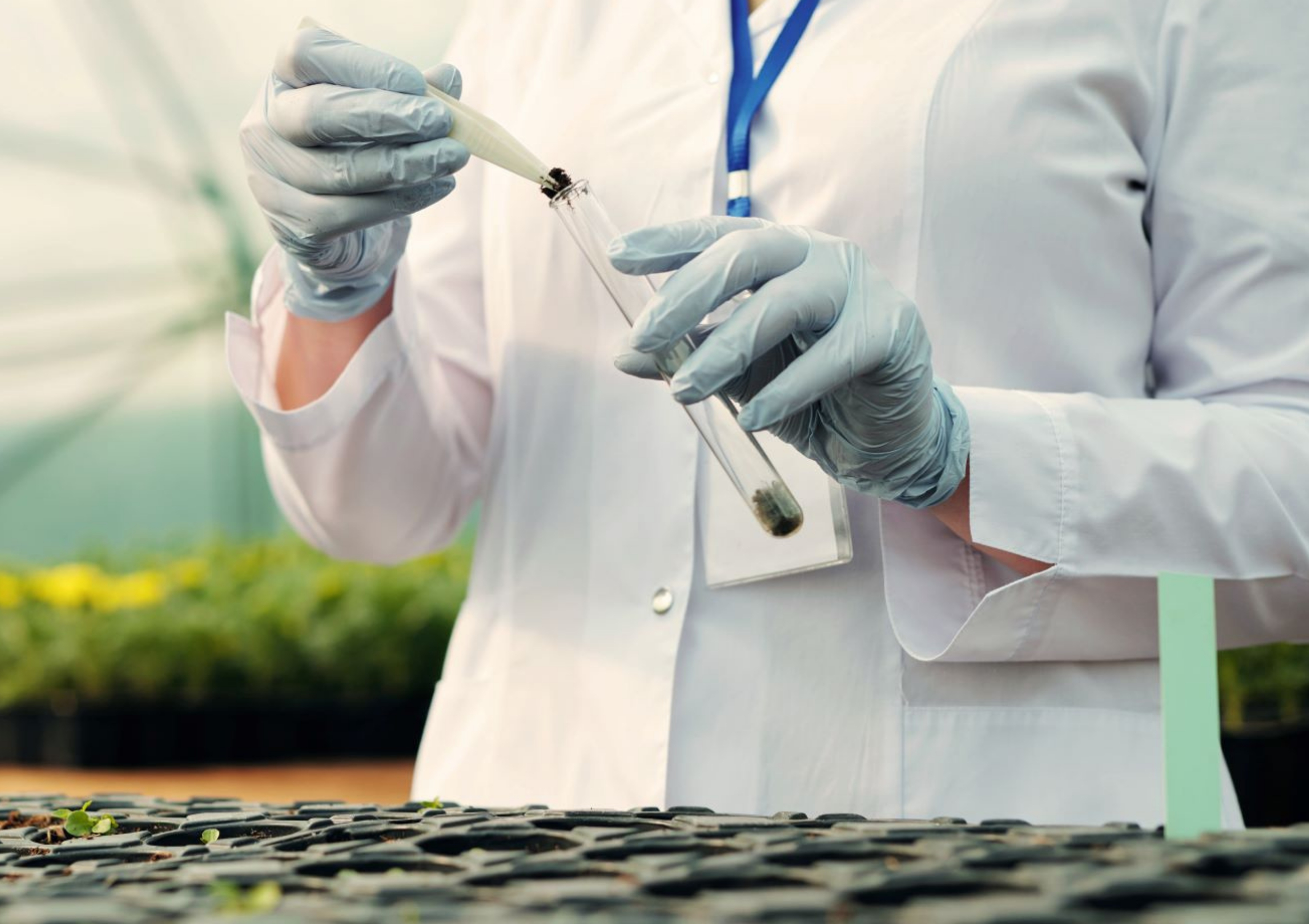 EU trilogue opens regulatory pathway for plants developed using new genomic techniques (NGTs) to the benefit of agritech and foodtech innovators