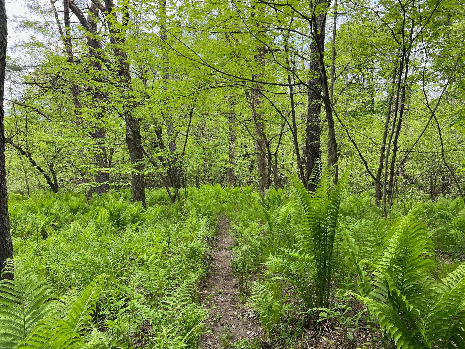 Royal River Conservation Trust: RRCT Preserves and Trails