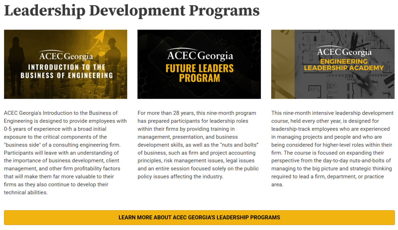 overview of ACEG Georgia's leadership programs from the council's website
