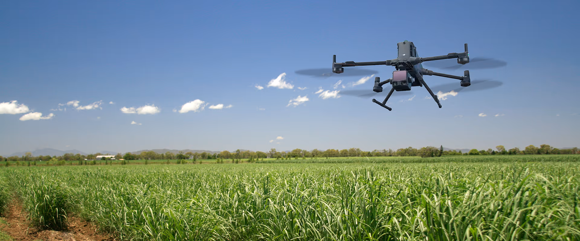 Two Weeks to Two Days: Surveying 3,800 Hectares of Queensland Sugarcane with the DJI Matrice 400