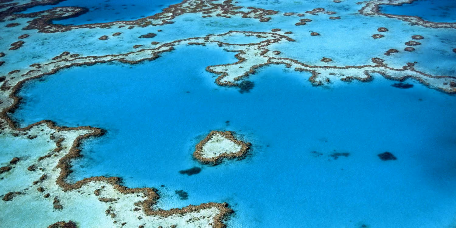 Drone Reef & Marine Monitoring