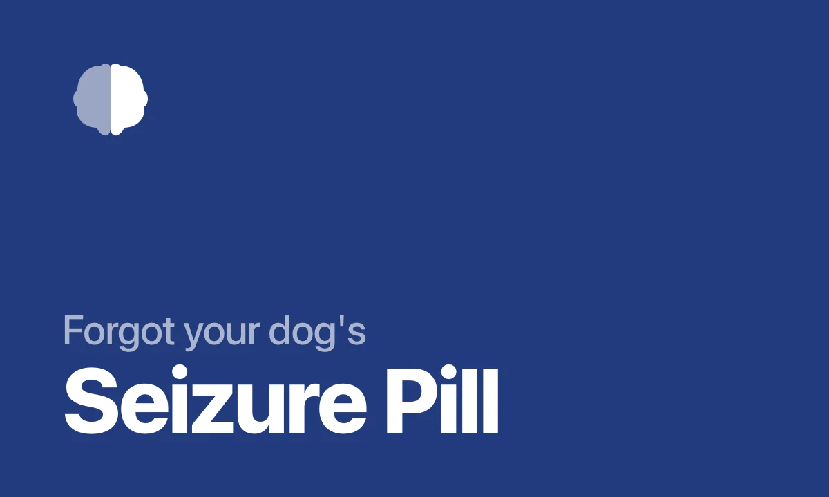 Forgot your dog's seizure pill - Pillo