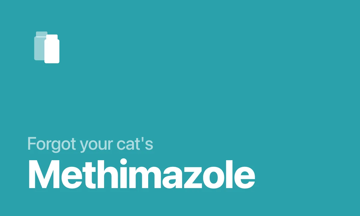 Forgot your cat's methimazole dose - Pillo