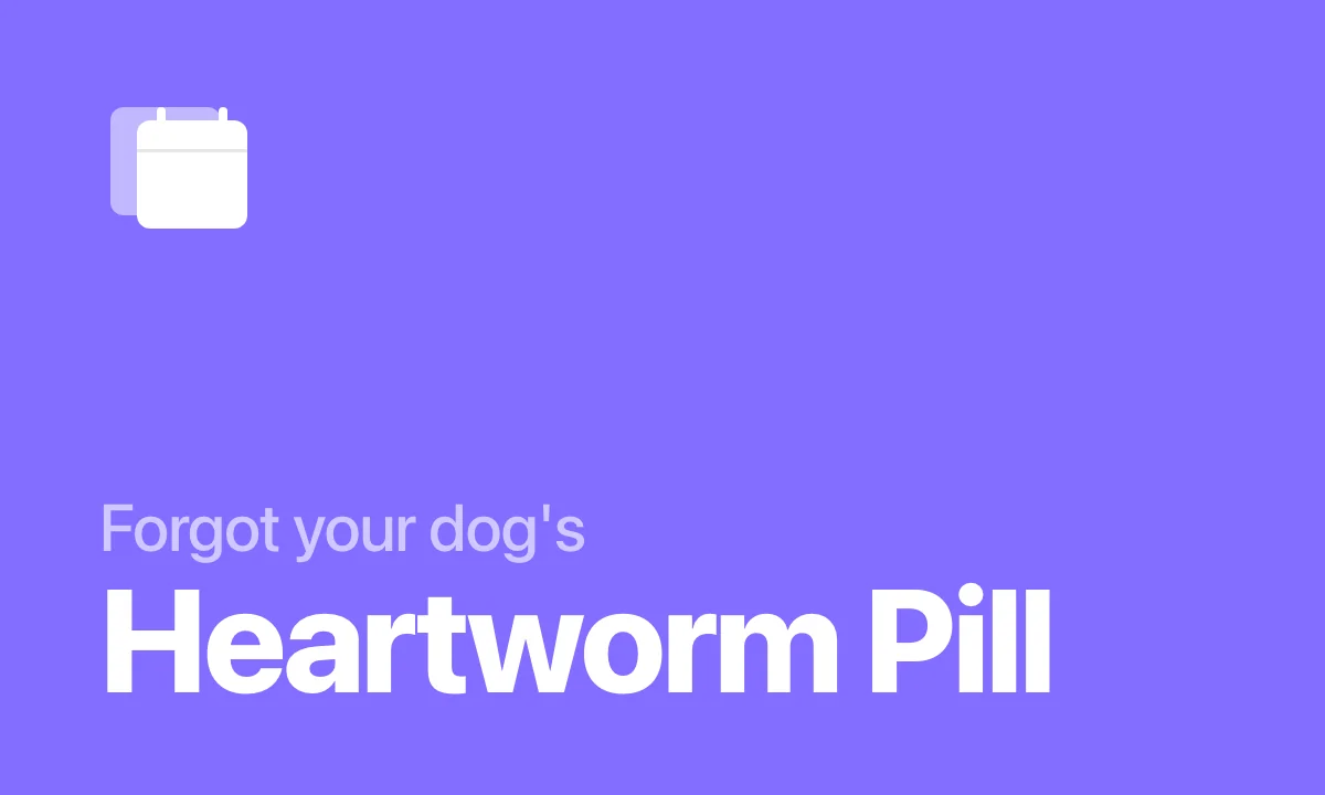 Forgot your dog's heartworm pill - Pillo