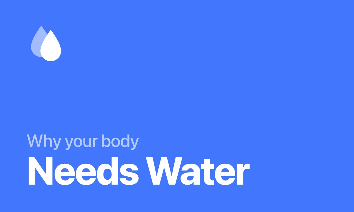 What happens to your body when you drink enough water