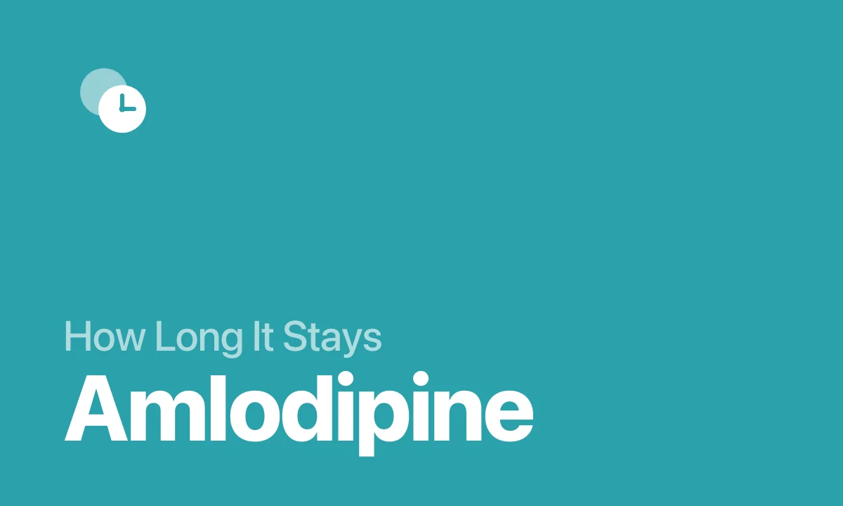 How Long It Stays Amlodipine