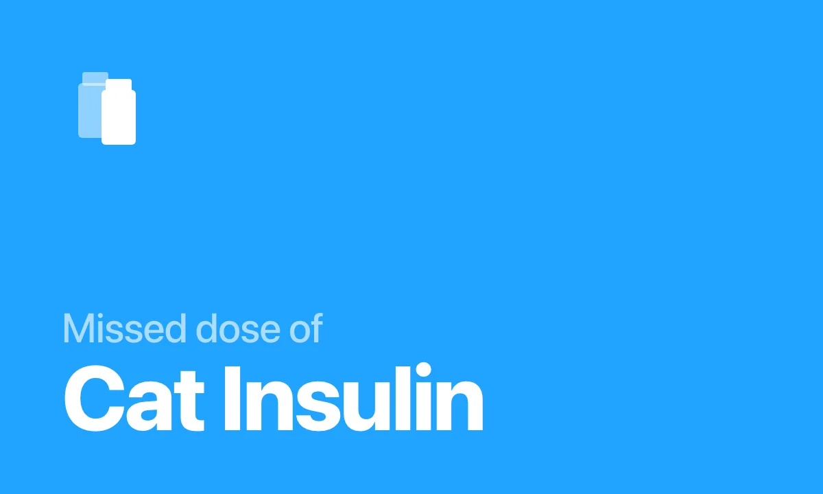Missed dose of Cat Insulin