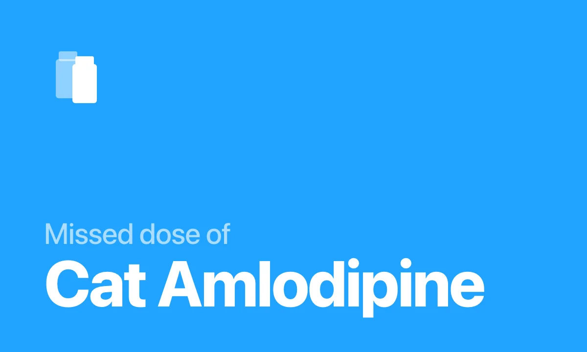 Missed dose of Cat Amlodipine