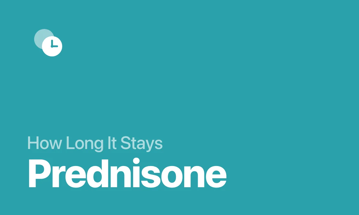 How Long It Stays Prednisone