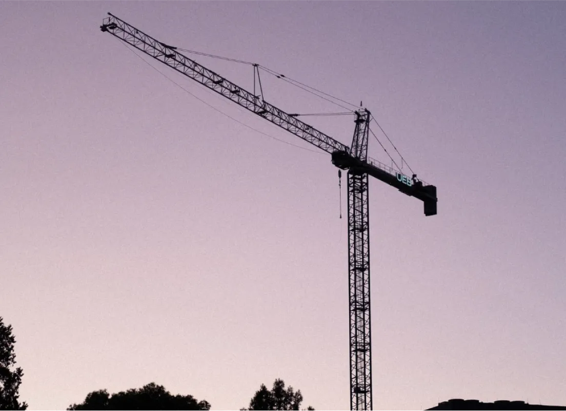 there is a crane that is standing in the middle of a field