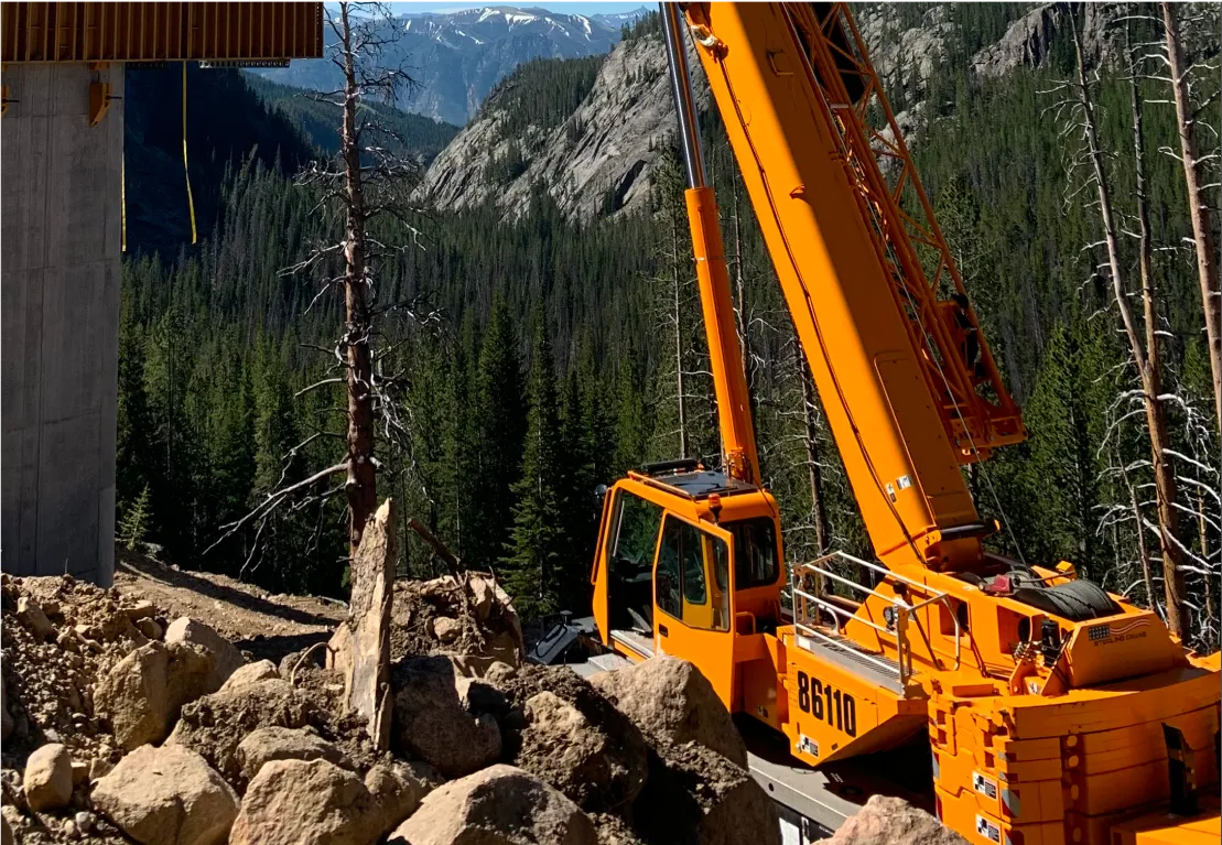 there is a crane that is sitting on a pile of rocks